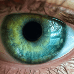 Eye care tips, How to protect your eyes naturally, Best foods for healthy eyes, Eye exercises for better vision, Digital eye strain solutions, How to improve eyesight naturally, Common eye problems and prevention, Eye care routine for daily life, Importance of regular eye checkups, Natural remedies for eye health, Tips, Ideal Beauty Tips, Beauty Tips, Health, Health & Wellness